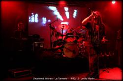 interview Uncolored Wishes